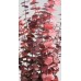 EUCALYPTUS PRESERVED POLISHED Red-